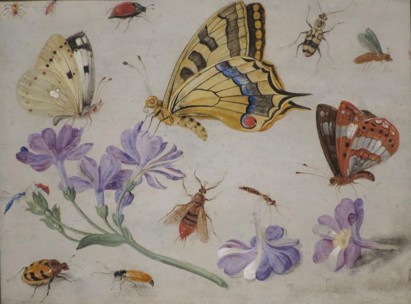 'Butterflies, Other Insects, and Flowers' by Jan van Kessel, 1659, High Museum of Art