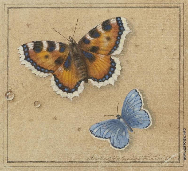 Бабочки. 1819