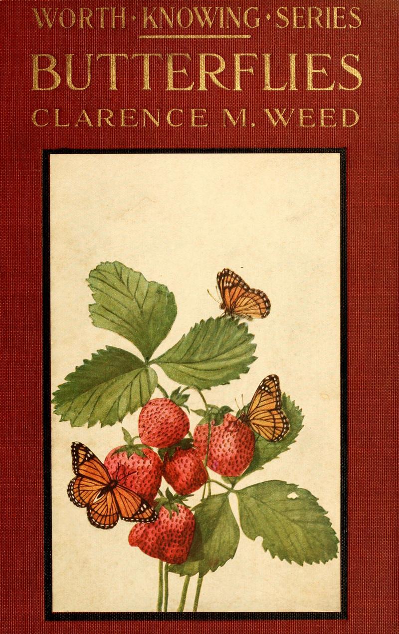 ...Butterflies worth knowing (6220523186)