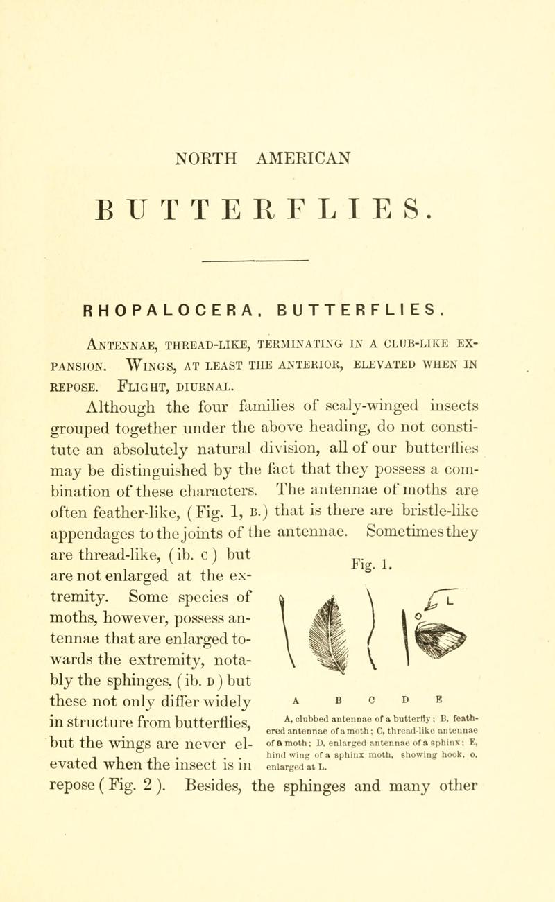 A manual of North American butterflies (Page 1, Fig. 1) BHL7500899