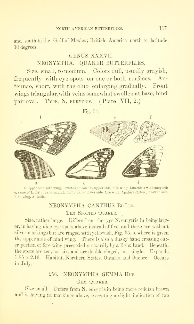 A manual of North American butterflies (Page 107, Fig. 34) BHL7500934