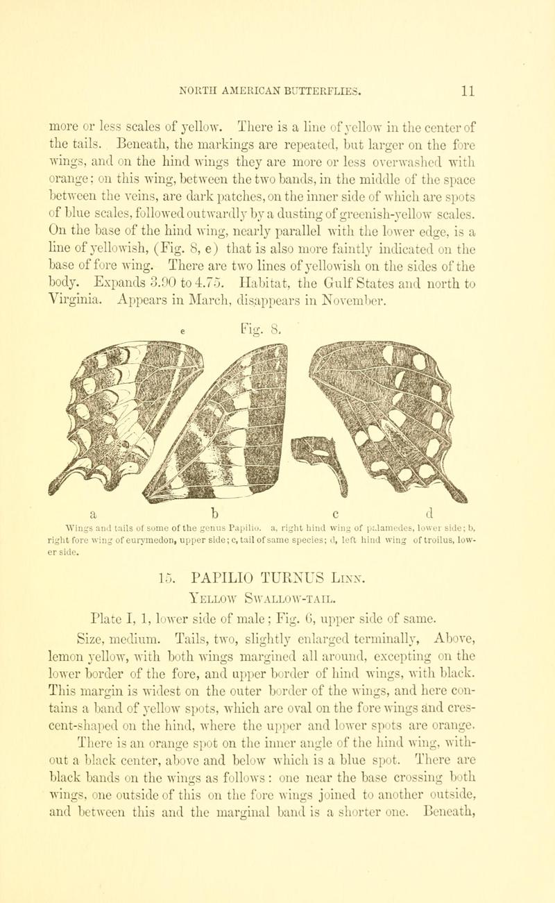 A manual of North American butterflies (Page 11, Fig. 8) BHL7500889