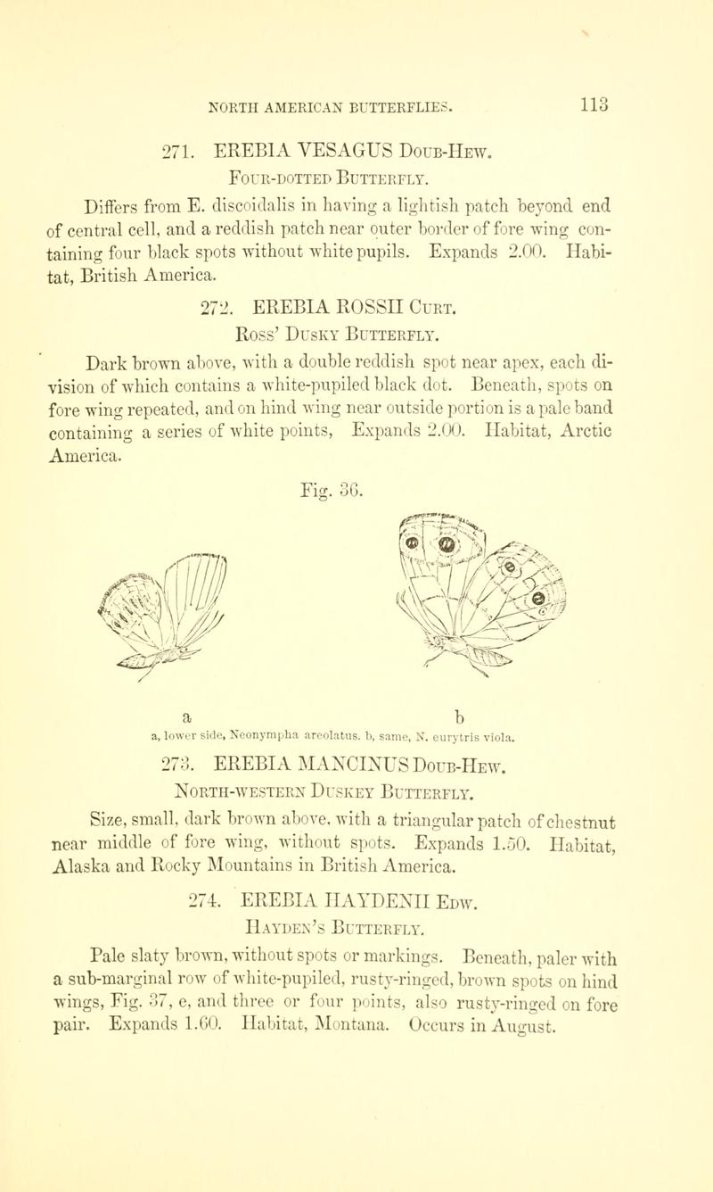A manual of North American butterflies (Page 113, Fig. 36) BHL7500961
