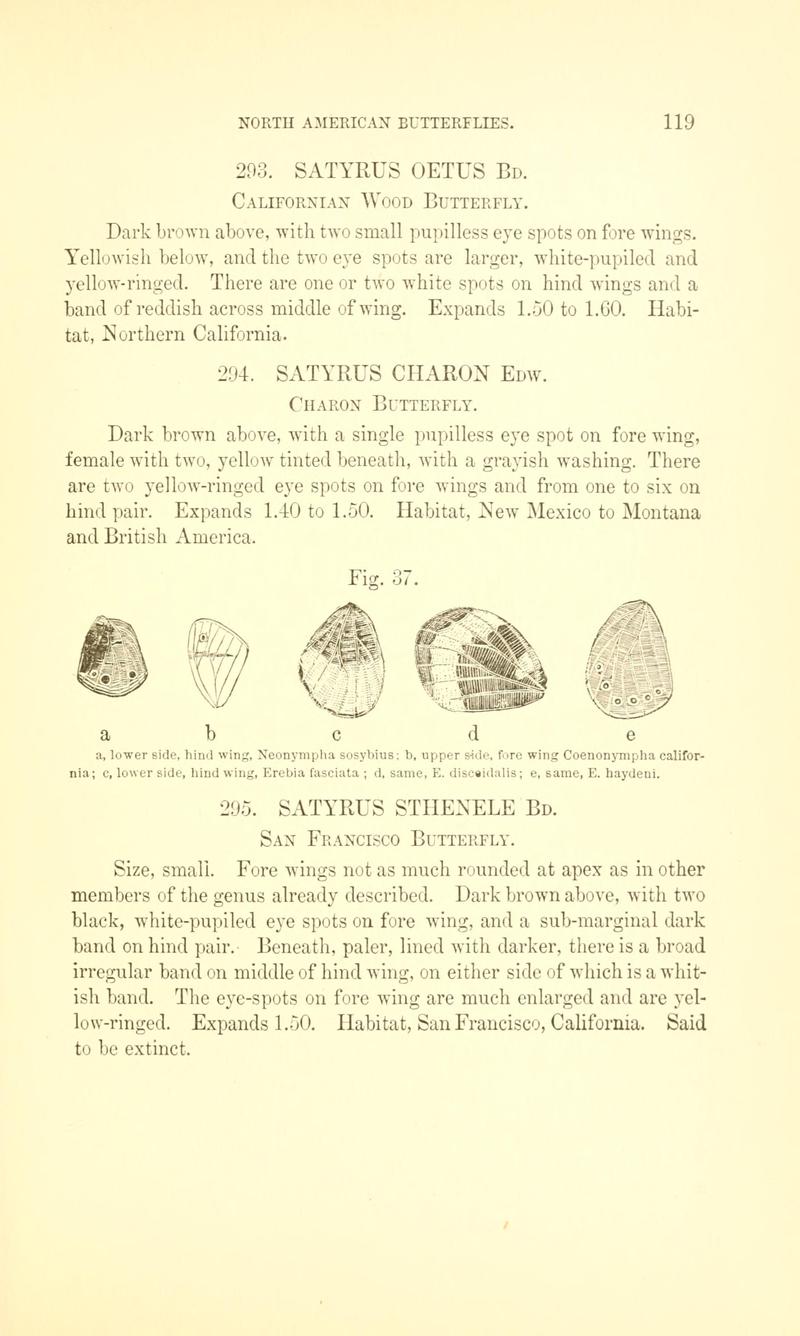 A manual of North American butterflies (Page 119, Fig. 37) BHL7500967