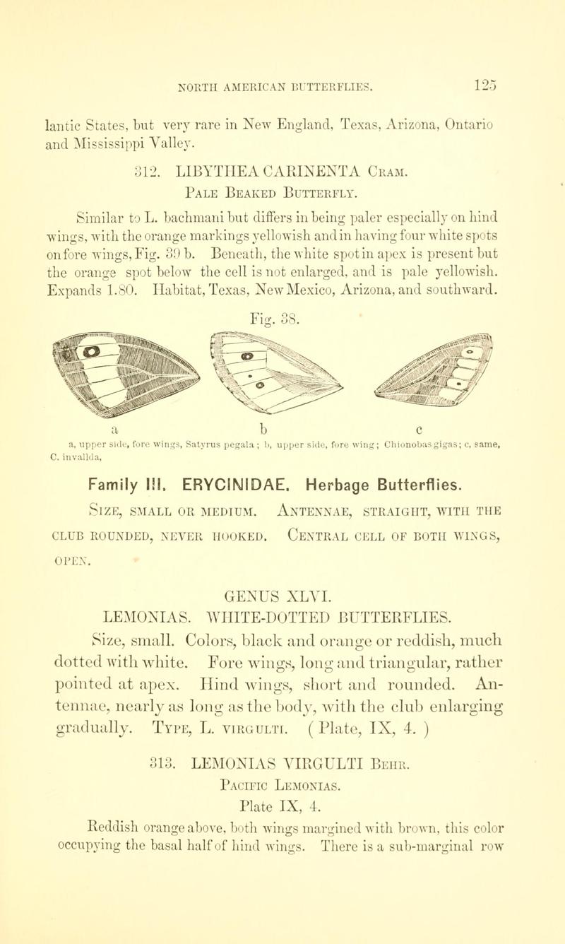 A manual of North American butterflies (Page 125, Fig. 38) BHL7501030
