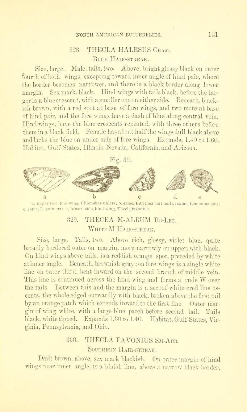 A manual of North American butterflies (Page 131, Fig. 39) BHL7501036