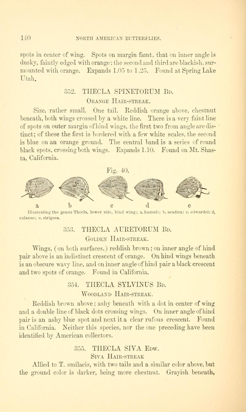 A manual of North American butterflies (Page 140, Fig. 40) BHL7501045