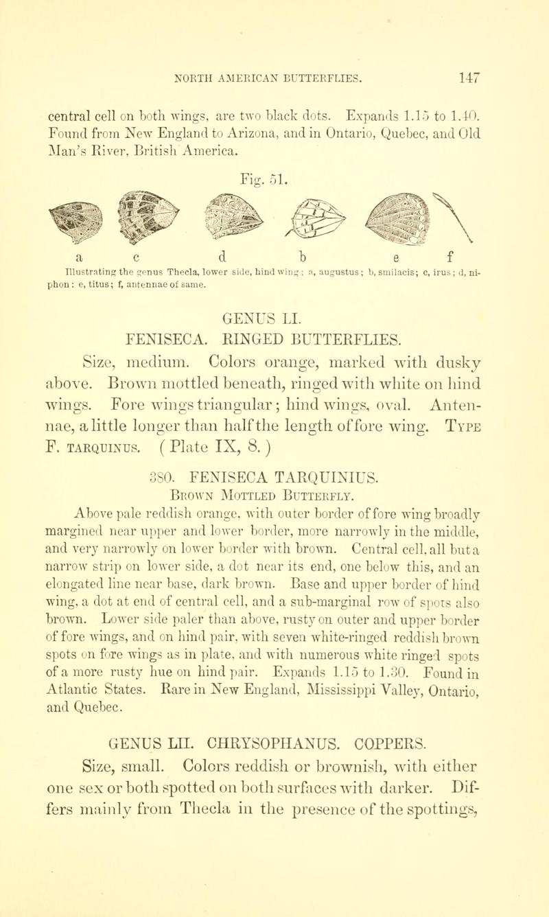 A manual of North American butterflies (Page 147, Fig. 51) BHL7501056