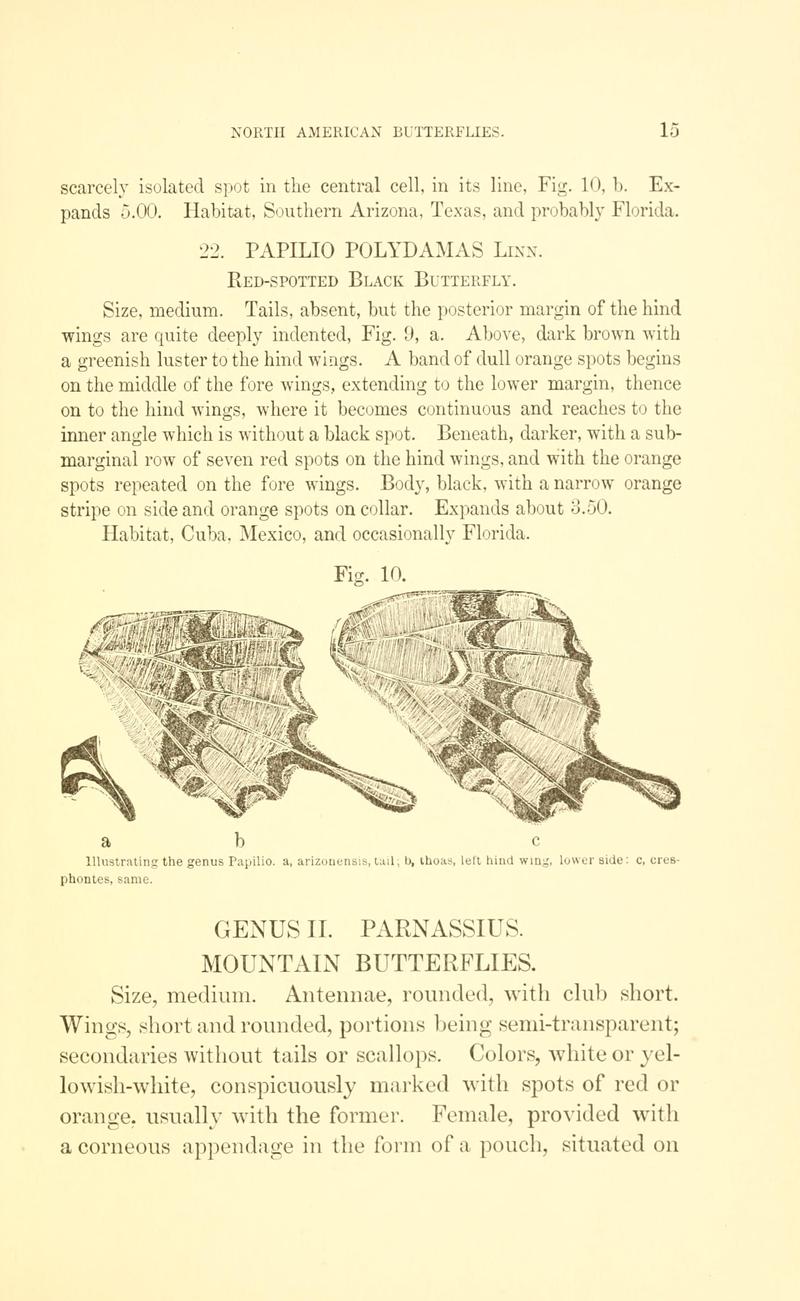A manual of North American butterflies (Page 15, Fig. 10) BHL7500881