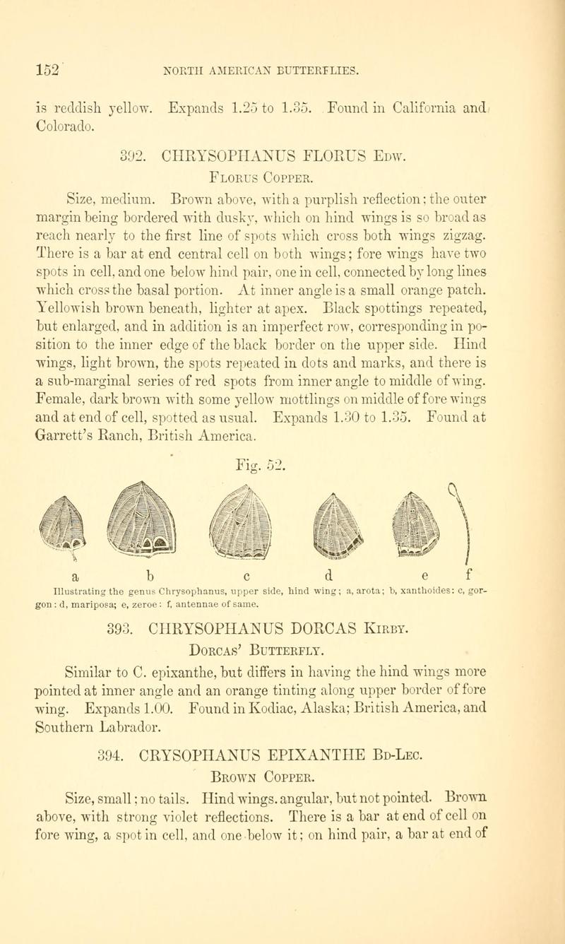 A manual of North American butterflies (Page 152, Fig. 52) BHL7500975