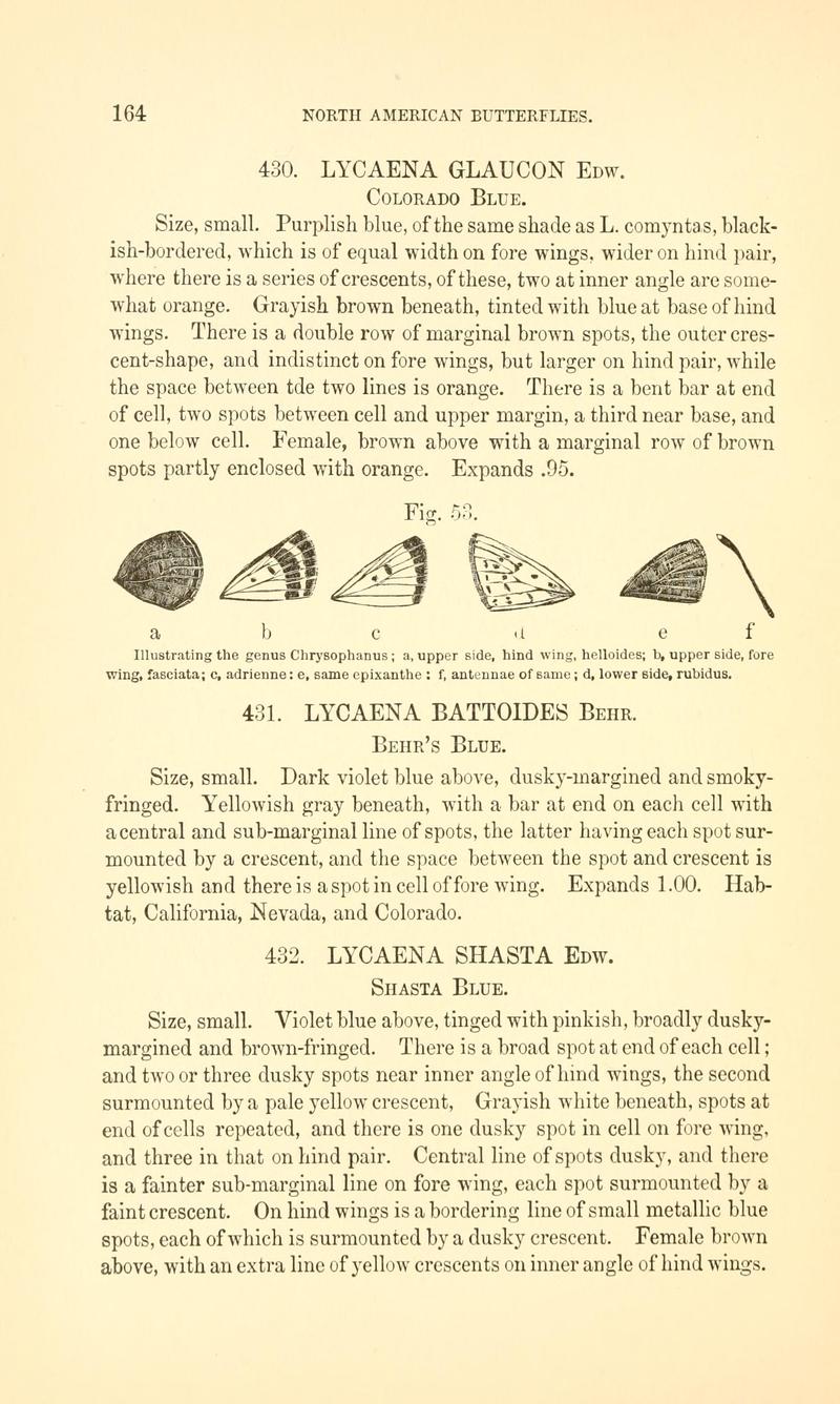 A manual of North American butterflies (Page 164, Fig. 53) BHL7500987