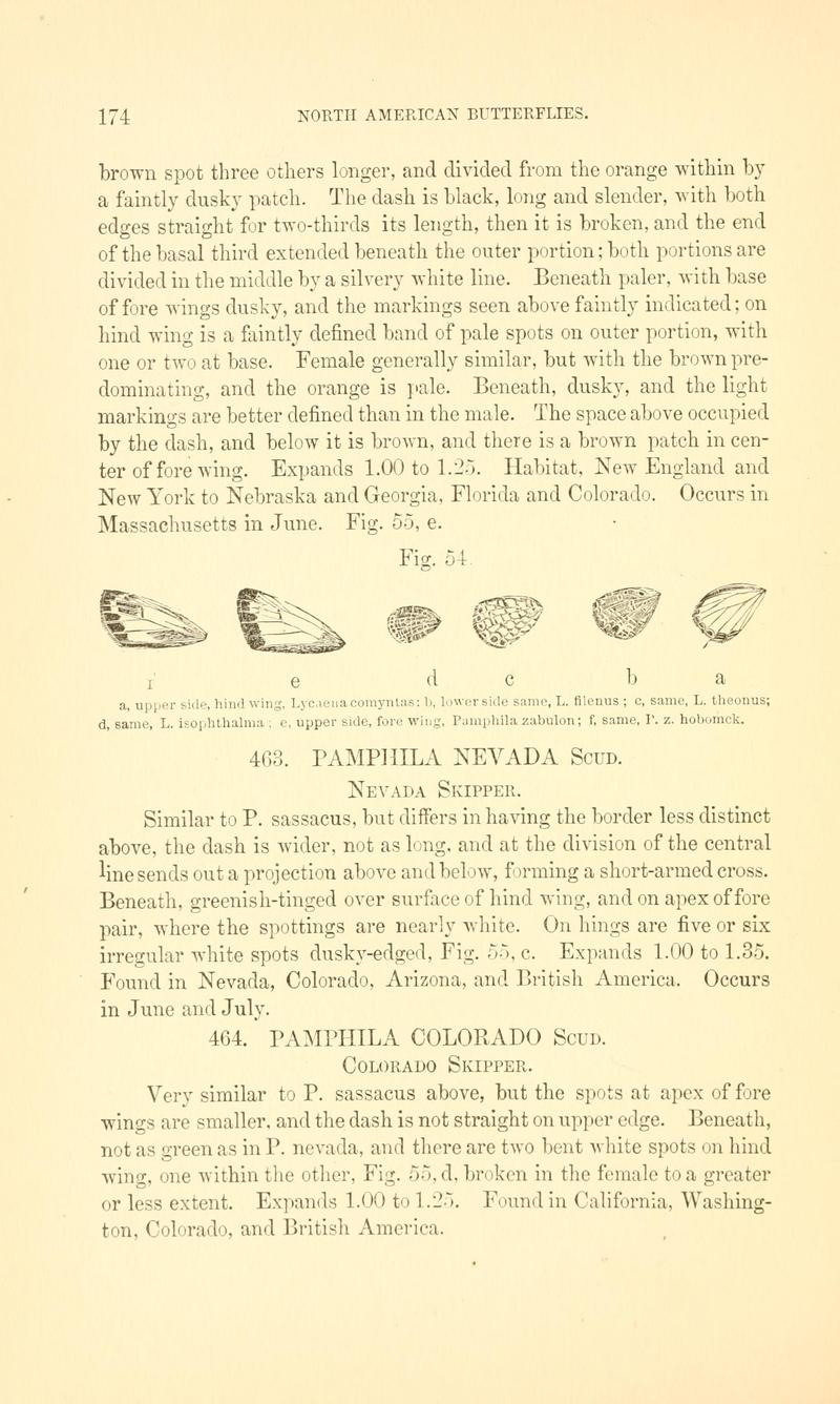 A manual of North American butterflies (Page 174, Fig. 54) BHL7501065