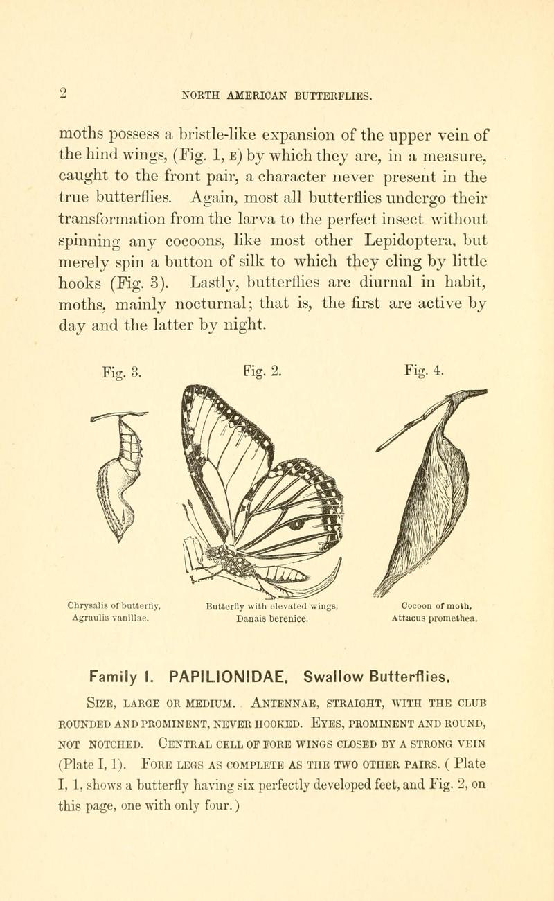 A manual of North American butterflies (Page 2, Figs. 2-4) BHL7500898