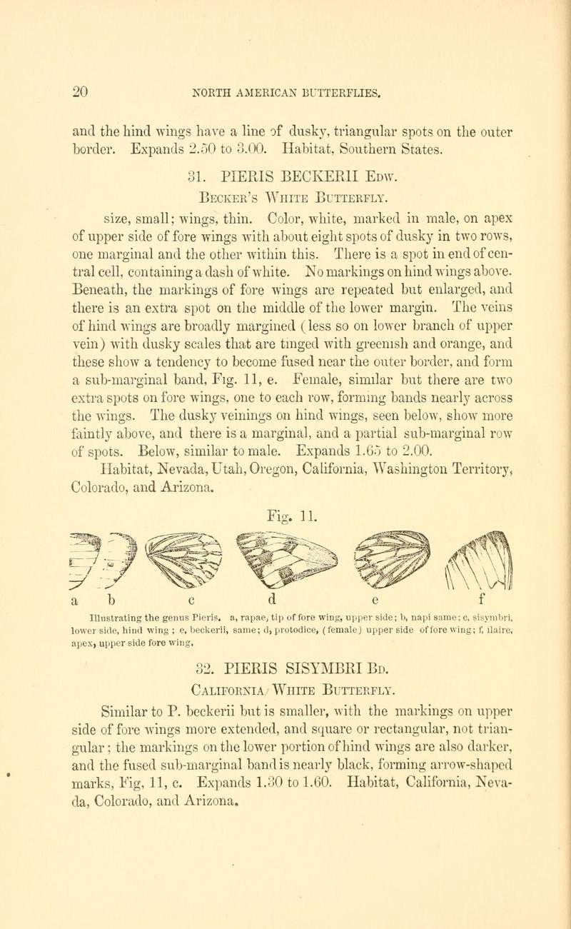 A manual of North American butterflies (Page 20, Fig. 12) BHL7500876