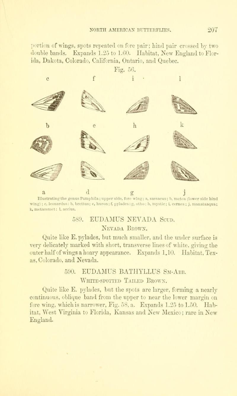 A manual of North American butterflies (Page 207, Fig. 56) BHL7501010