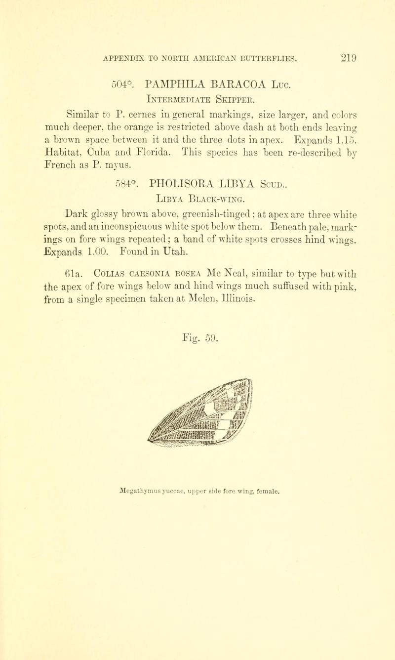 A manual of North American butterflies (Page 219, Fig. 59) BHL7501022