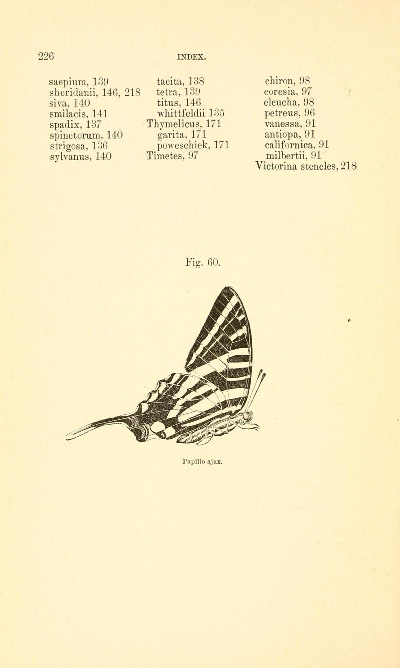 A manual of North American butterflies (Page 226, Fig. 60) BHL7500954