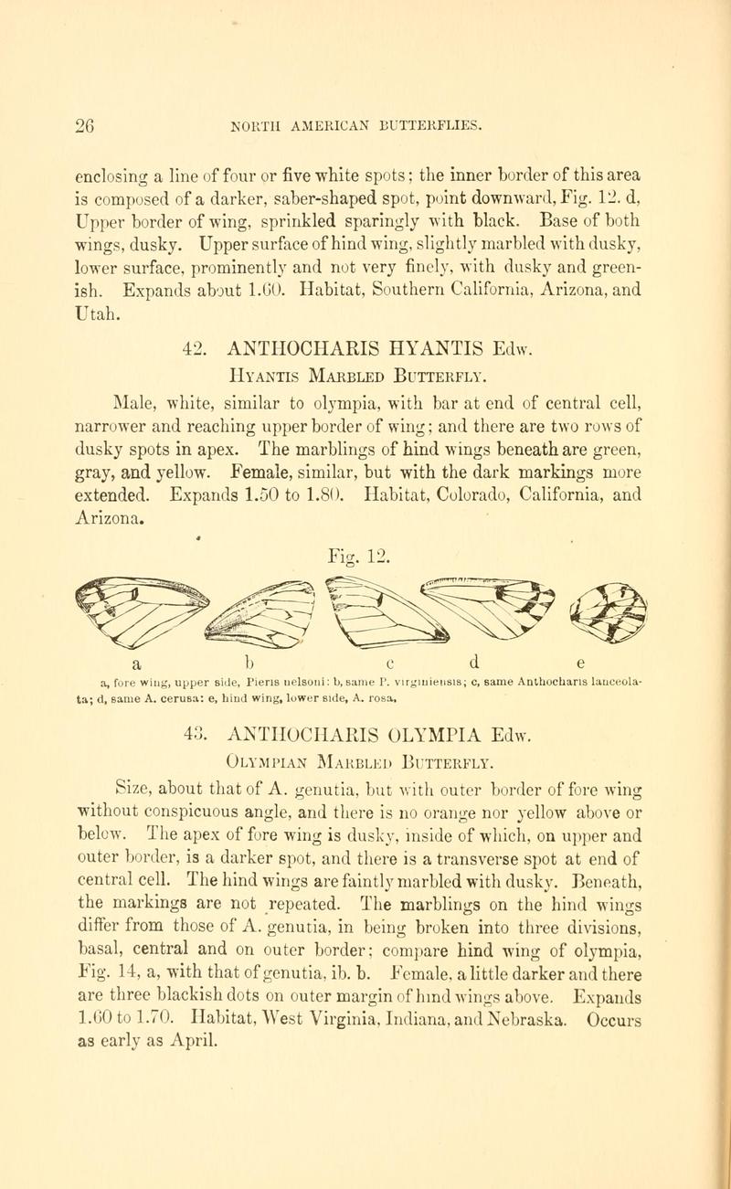 A manual of North American butterflies (Page 26, Fig. 13) BHL7500870