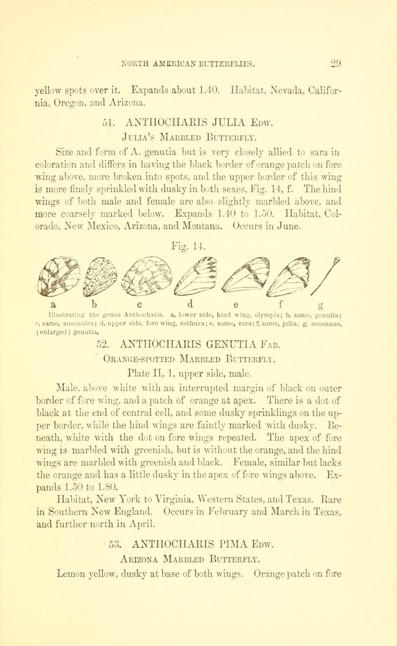 A manual of North American butterflies (Page 29, Fig. 14) BHL7500867