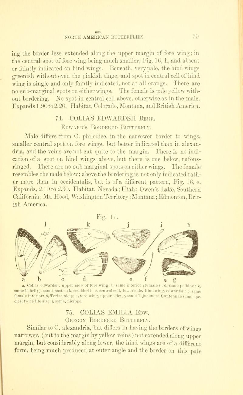 A manual of North American butterflies (Page 39, Fig. 17) BHL7500853