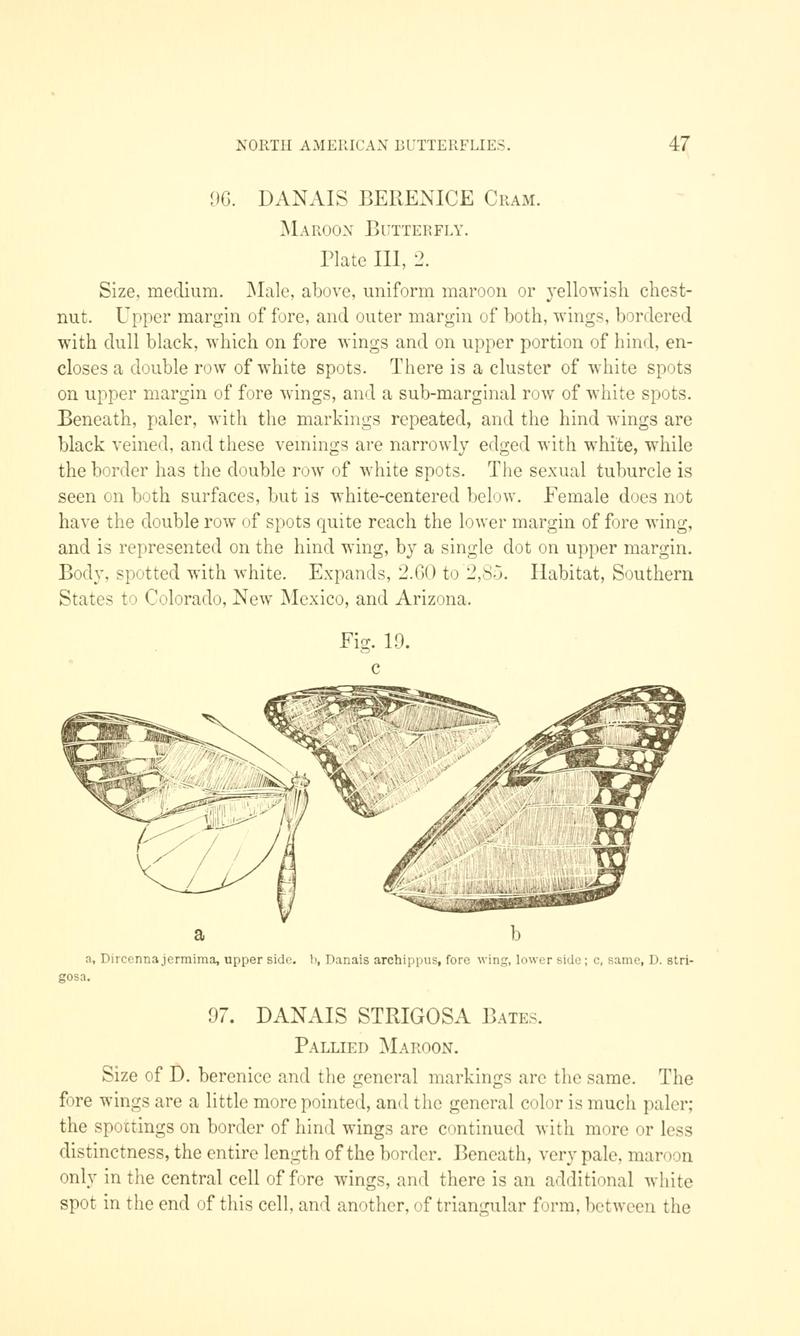 A manual of North American butterflies (Page 47, Fig. 19) BHL7500845