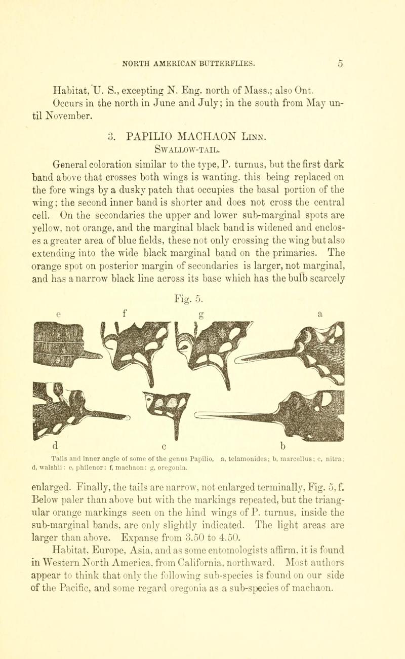 A manual of North American butterflies (Page 5, Fig. 5) BHL7500895