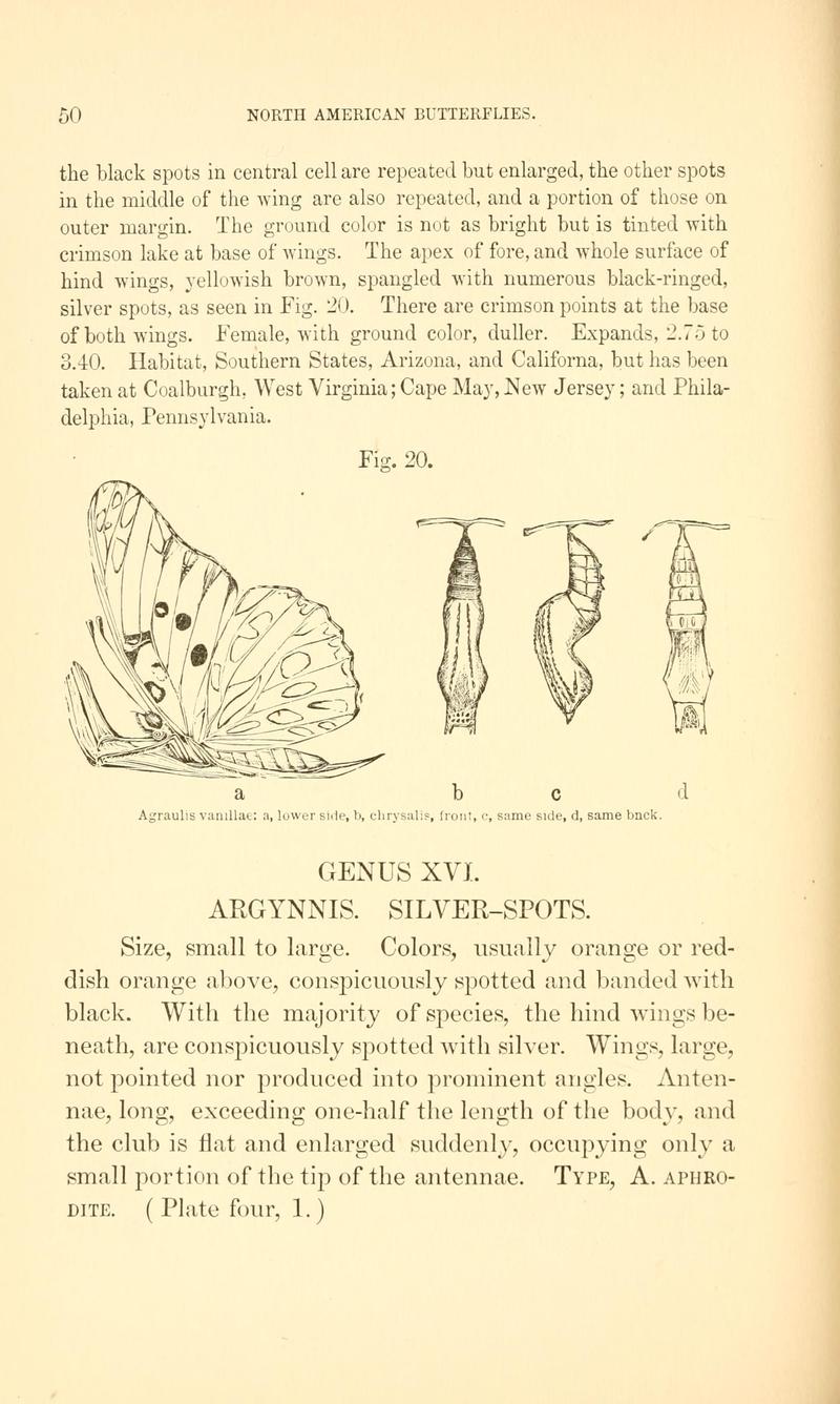 A manual of North American butterflies (Page 50, Fig. 20) BHL7500842