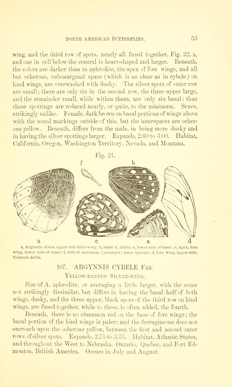 A manual of North American butterflies (Page 53, Fig. 21) BHL7500839