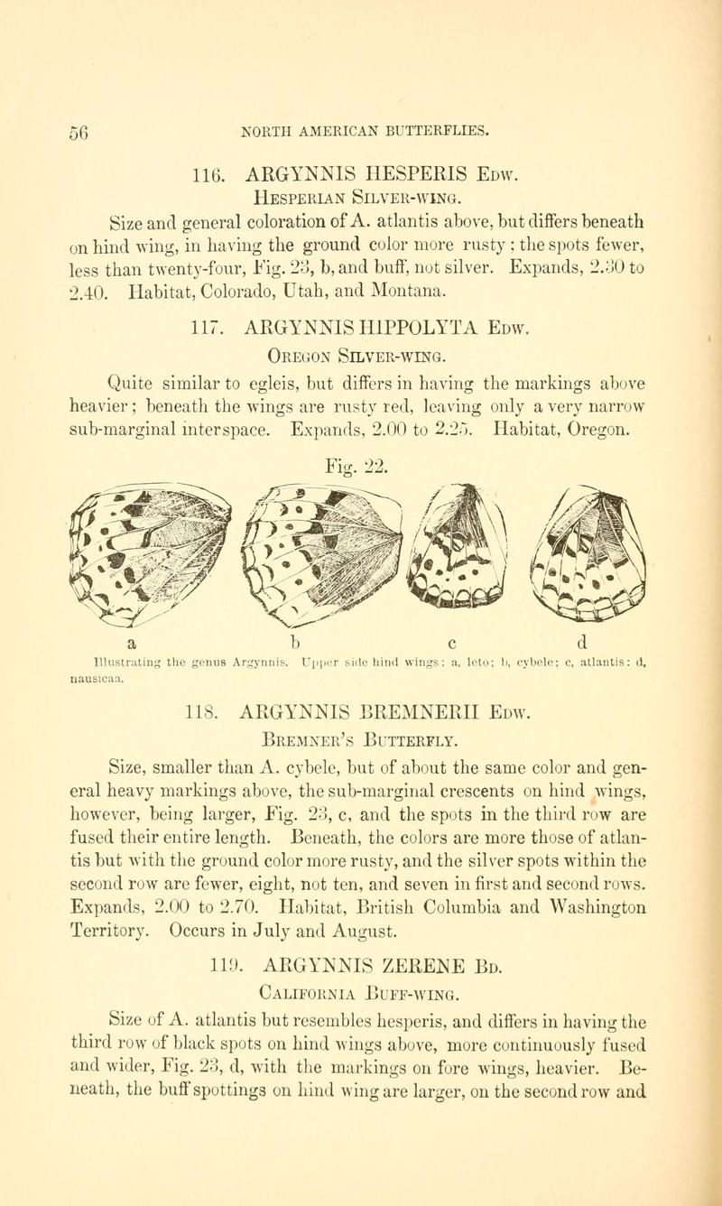 A manual of North American butterflies (Page 56, Fig. 22) BHL7500836