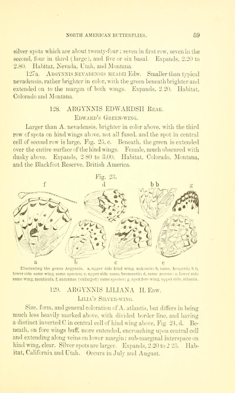 A manual of North American butterflies (Page 59, Fig. 23) BHL7500829