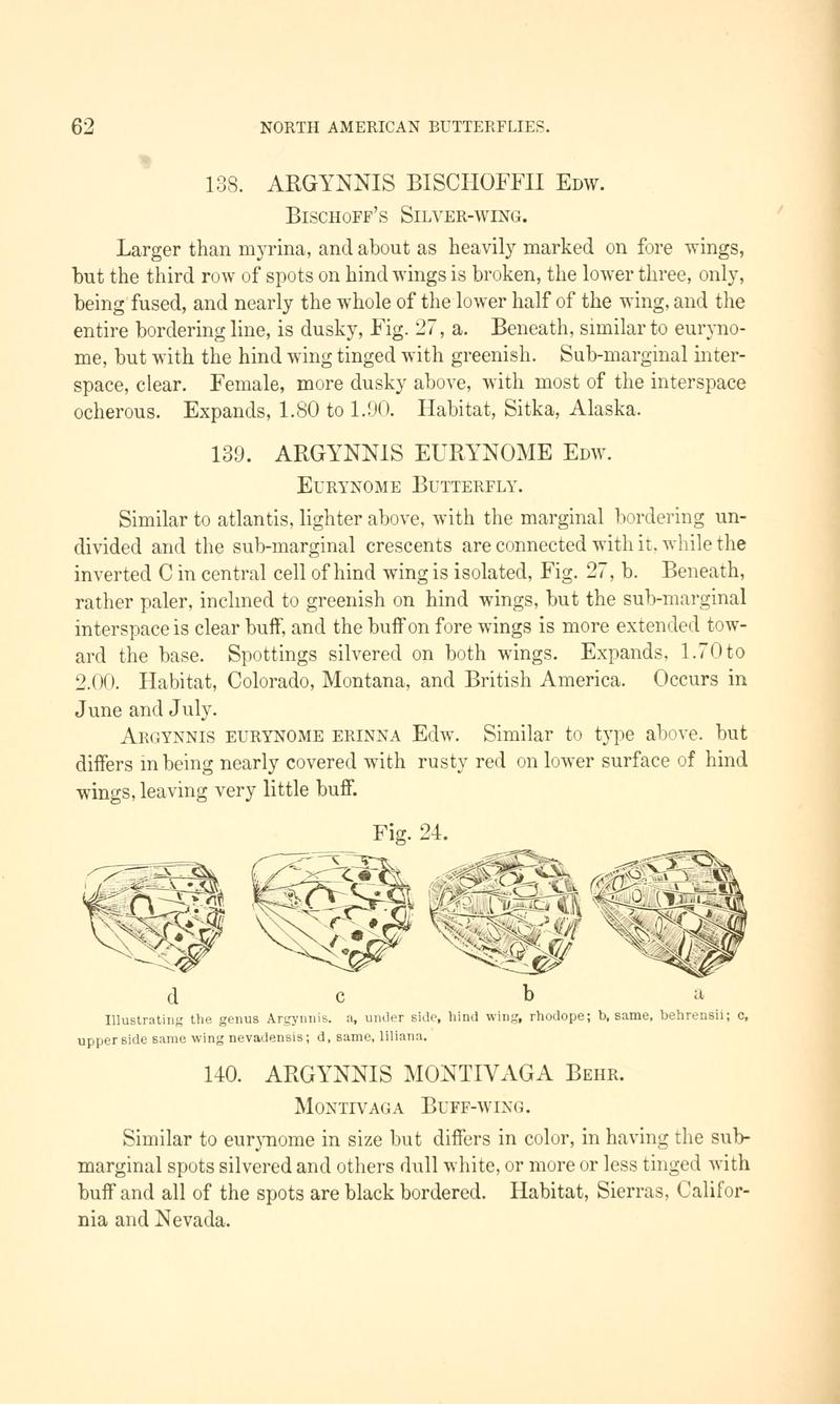 A manual of North American butterflies (Page 62, Fig. 24) BHL7500826