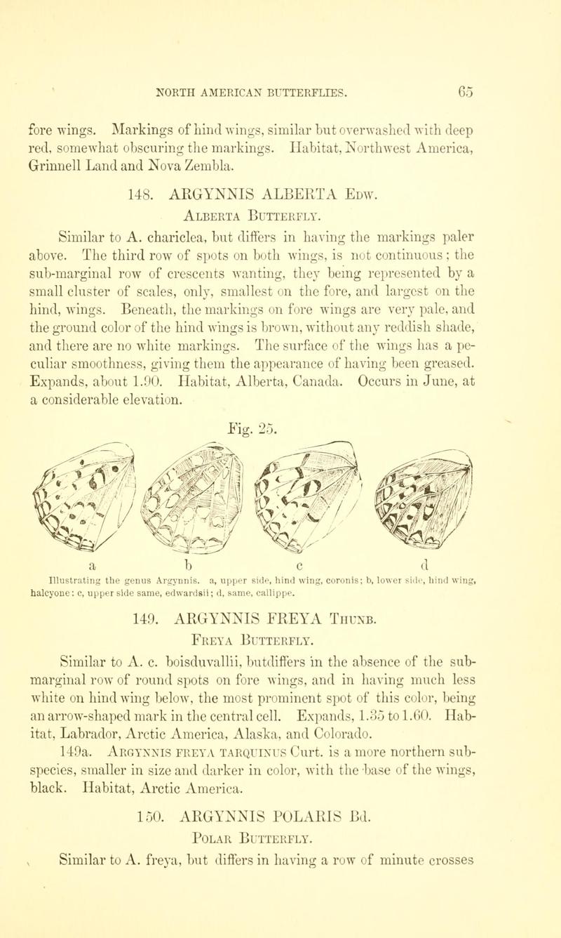 A manual of North American butterflies (Page 65, Fig. 25) BHL7500823