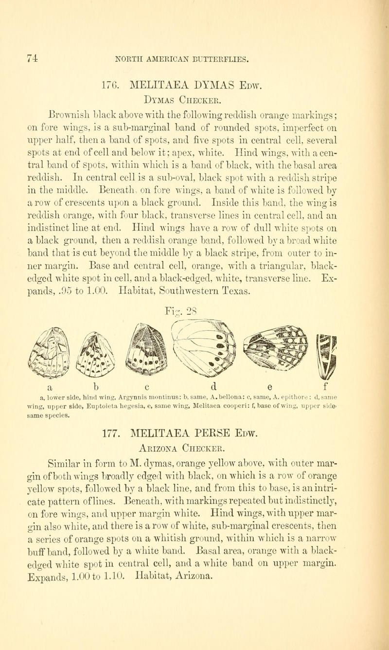 A manual of North American butterflies (Page 74, Fig. 28) BHL7500941