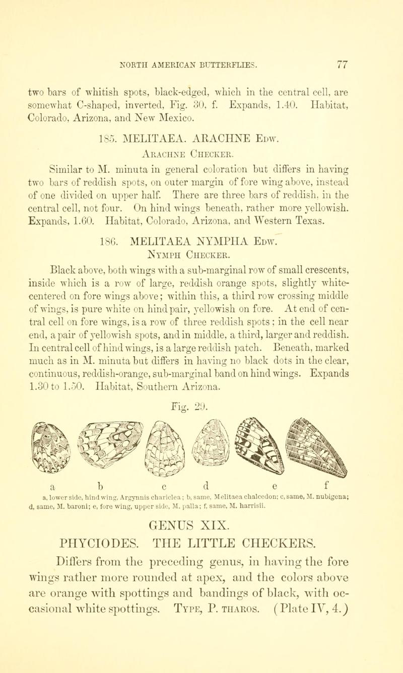 A manual of North American butterflies (Page 77, Fig. 29) BHL7500938