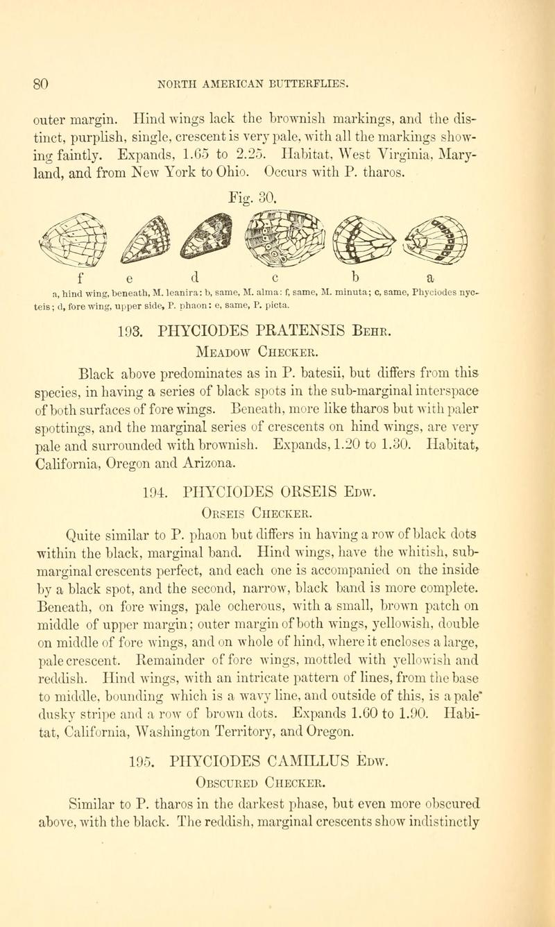 A manual of North American butterflies (Page 80, Fig. 30) BHL7500819