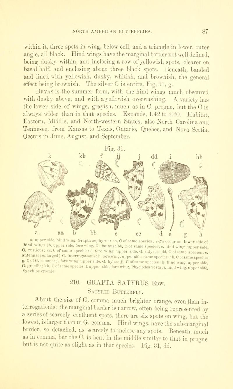 A manual of North American butterflies (Page 87, Fig. 31) BHL7500808