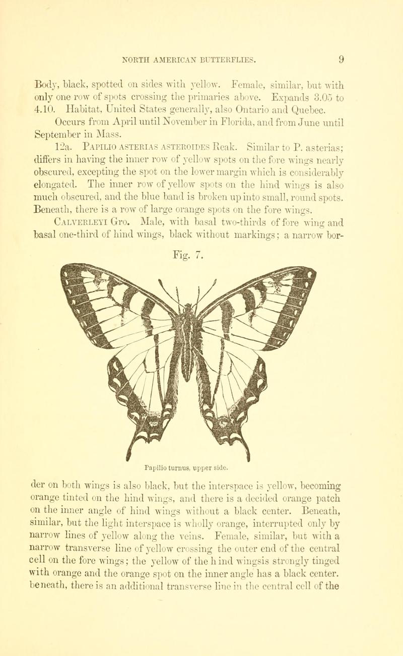 A manual of North American butterflies (Page 9, Fig. 7) BHL7500891