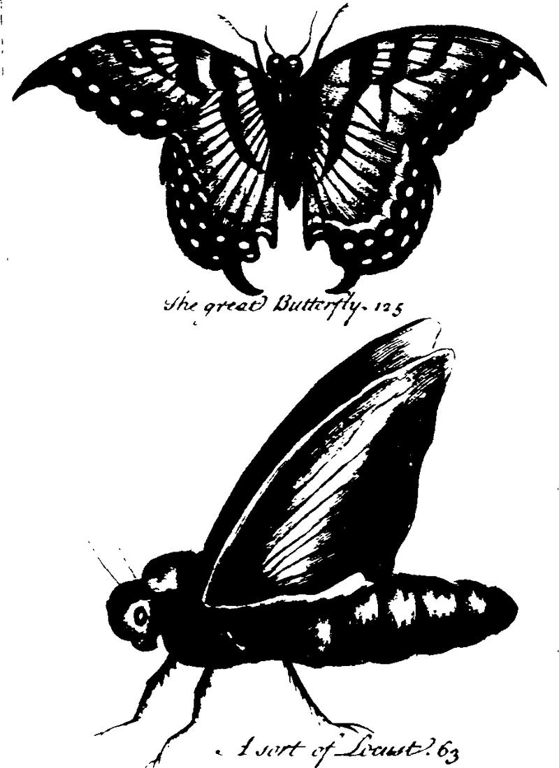 A new and accurate system of natural history; containing I Fleuron T131870-45