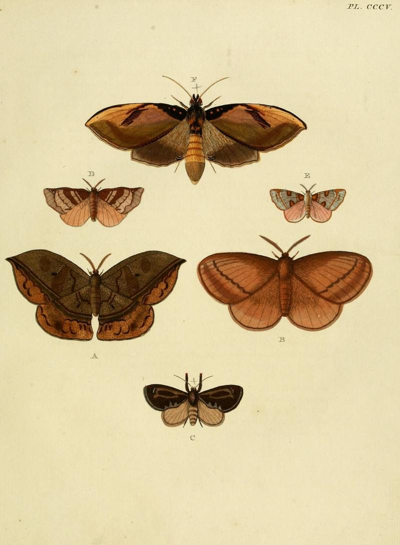 Aanhangsel van het werk, De uitlandsche kapellen (10313232304)