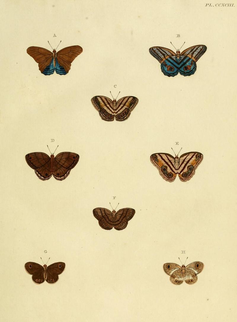 Aanhangsel van het werk, De uitlandsche kapellen (10313239025)