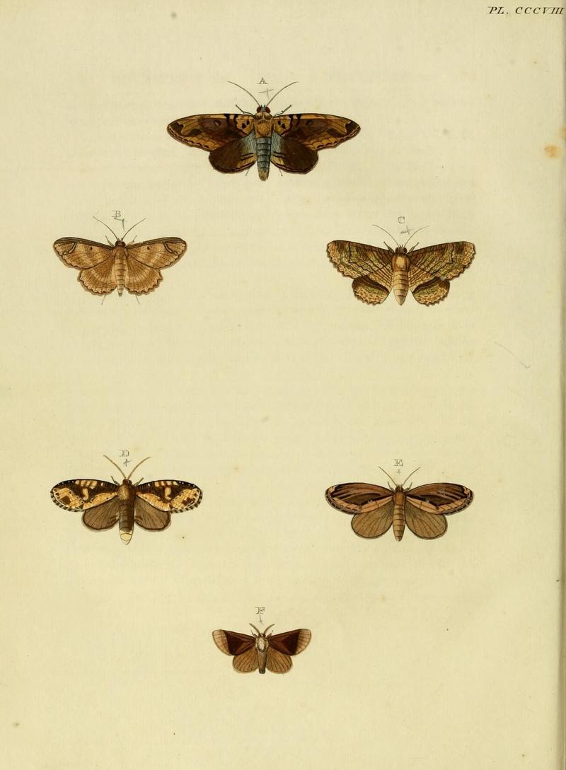 Aanhangsel van het werk, De uitlandsche kapellen (10313239544)