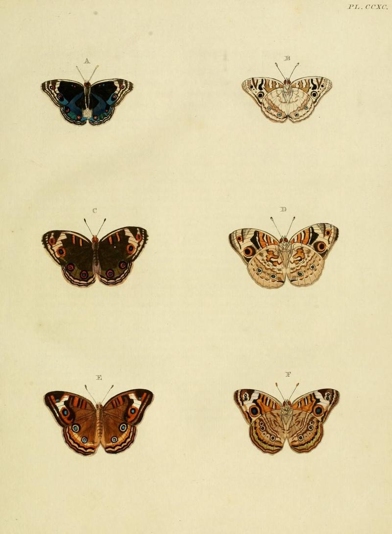 Aanhangsel van het werk, De uitlandsche kapellen (10313250516)