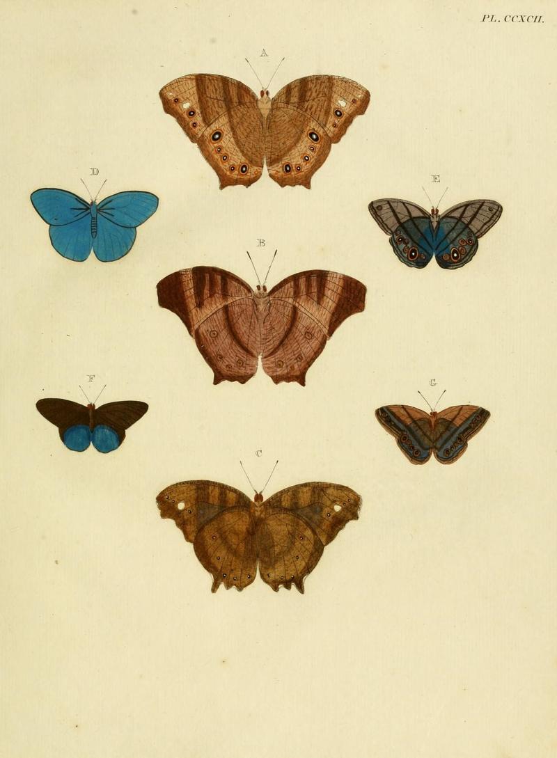 Aanhangsel van het werk, De uitlandsche kapellen (10313256986)