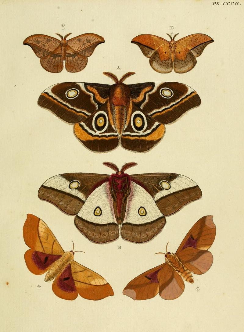 Aanhangsel van het werk, De uitlandsche kapellen (10313265385)