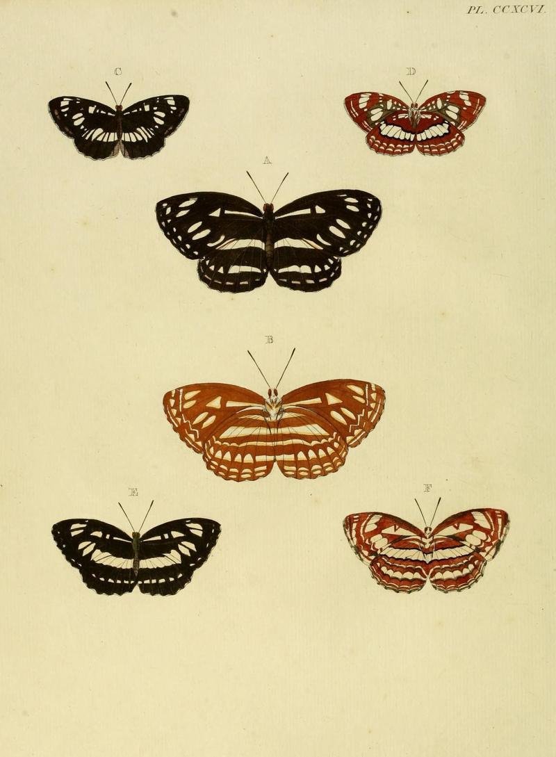 Aanhangsel van het werk, De uitlandsche kapellen (10313269326)