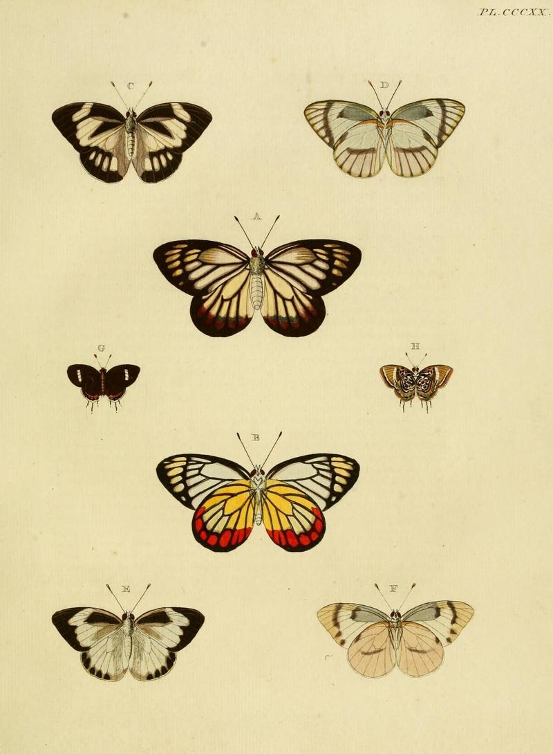 Aanhangsel van het werk, De uitlandsche kapellen (10313272784)