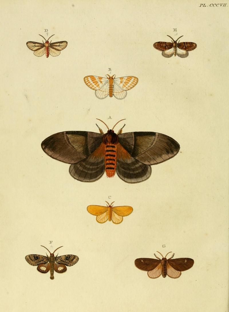 Aanhangsel van het werk, De uitlandsche kapellen (10313278505)