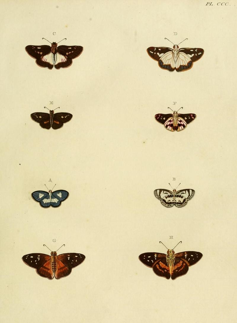 Aanhangsel van het werk, De uitlandsche kapellen (10313279816)