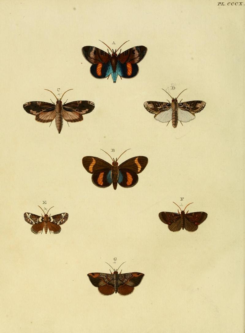 Aanhangsel van het werk, De uitlandsche kapellen (10313286015)