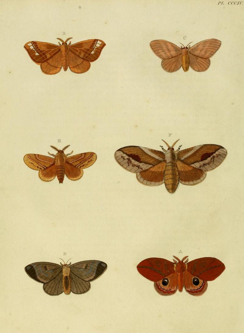 Aanhangsel van het werk, De uitlandsche kapellen (10313291476)